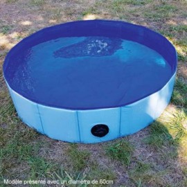 Dog Pool