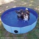 Dog Pool