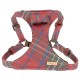 Harness Scottish