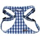 Harness Vichy