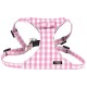 Harness Vichy