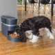 SMART FEED PET FEEDER 2.0