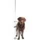 Profession adjustable dog Measure stick