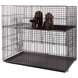 Puppy Exhibition Cage