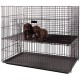 Puppy Exhibition Cage