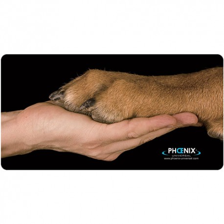 Phoenix ANti Slip Mat for Table