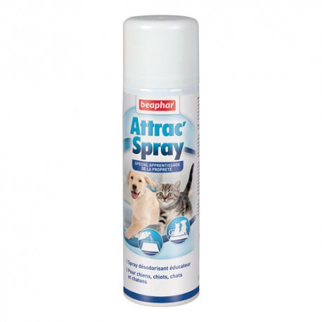 Attractive Spray 250 ml