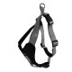 Doogy Grey Harness Classica