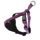 Doogy Purple Harness Classica