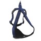 Doogy Dark blue Harness Classica