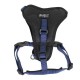 Doogy Dark blue Harness Classica