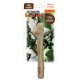 Coffee Tree Wood Stick