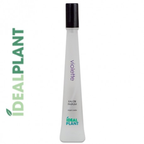 Idealplant violet perfume