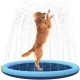 Dog Splash Pad