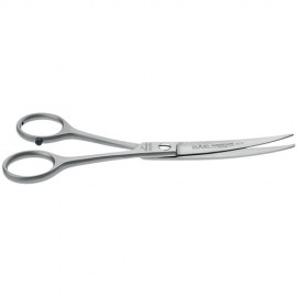 Curved Scissors Ehaso Standard Steel