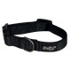 Doogy Black collar classica