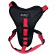 Doogy Red Harness Classica