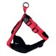 Doogy Red Harness Classica