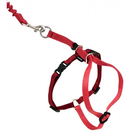 Easy Walk Cat Harness Red