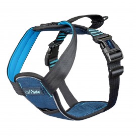 CARSAFE COLLISION HARNESS BLUE XS