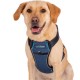 CARSAFE COLLISION HARNESS BLUE XS