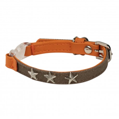 CAT COLLAR STAR IS BORN