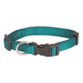 Doogy classic nylon collar - green