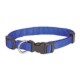 Doogy classic nylon collar - blue