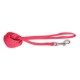 Doogy basic nylon lead - red