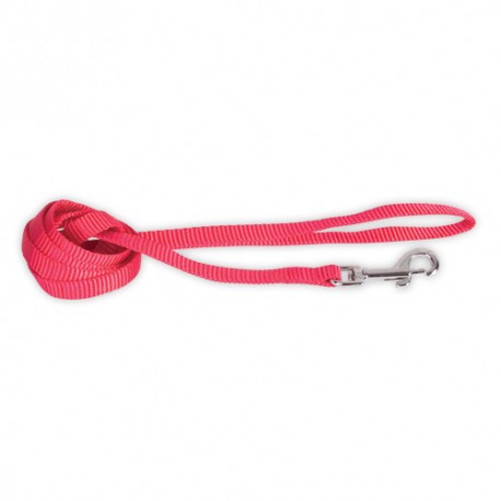 Doogy basic nylon lead - red