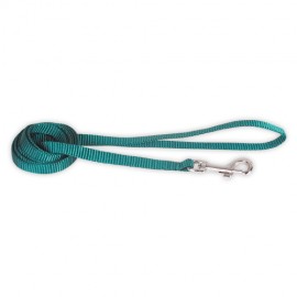 Doogy basic nylon lead - red