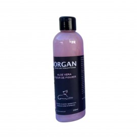 ALOE VERA FIG FLOWER SHAMPOO