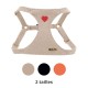HARNESS IN LOVE