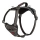 HARNESS ANATOMY GREY