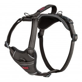 HARNESS ANATOMY GREY