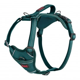HARNESS ANATOMY GREEN