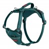 HARNESS ANATOMY GREEN