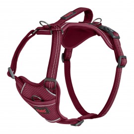 HARNESS ANATOMY MAGENTA