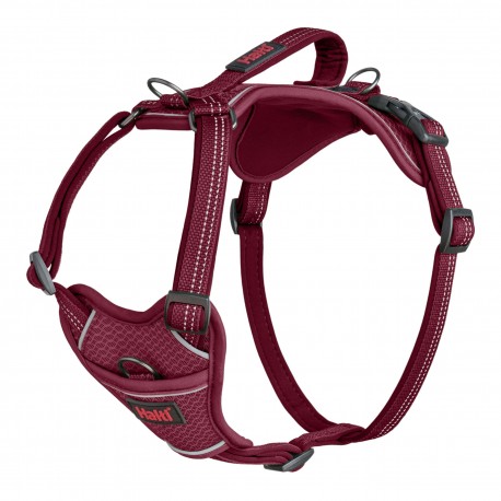 HARNESS ANATOMY MAGENTA