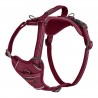 HARNESS ANATOMY MAGENTA