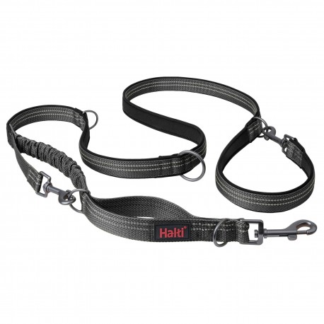 LEASHES ANATOMY
