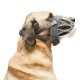 MUZZLES INVISA BASKERVILLE