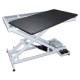 Phoenix Universal Callisto electric table