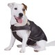 Doogy Aviator jacket